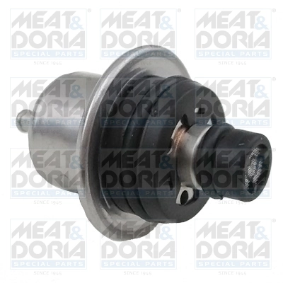 Fuel Pressure Regulator